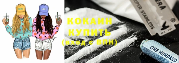сатива Гусев