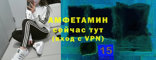 сатива Гусев