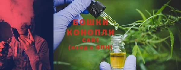 хмурый Гусиноозёрск
