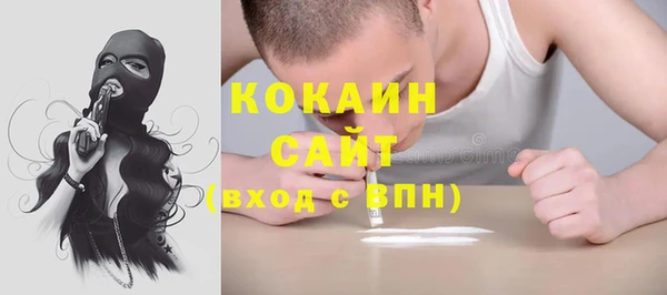 сатива Гусев