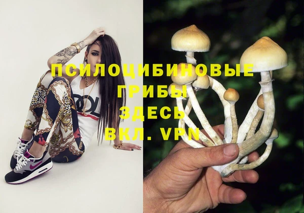 сатива Гусев