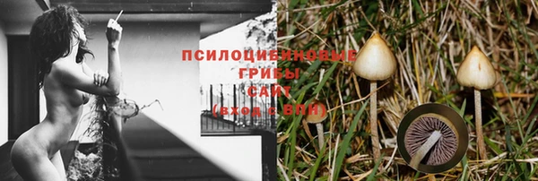хмурый Гусиноозёрск