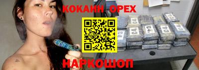 крисы Гагарин