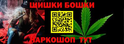 крисы Гагарин
