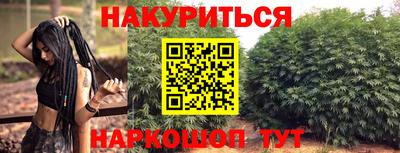 спайс Гай