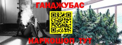 спайс Гай