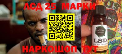 крисы Гагарин