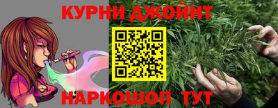 крисы Гагарин