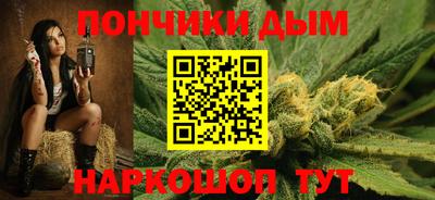крисы Гагарин