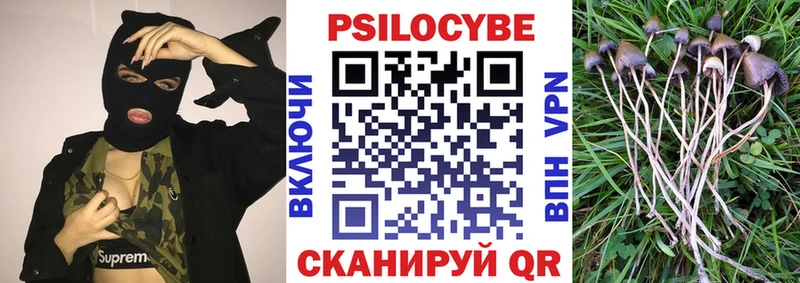Галлюциногенные грибы Psilocybine cubensis  закладка  Донской 