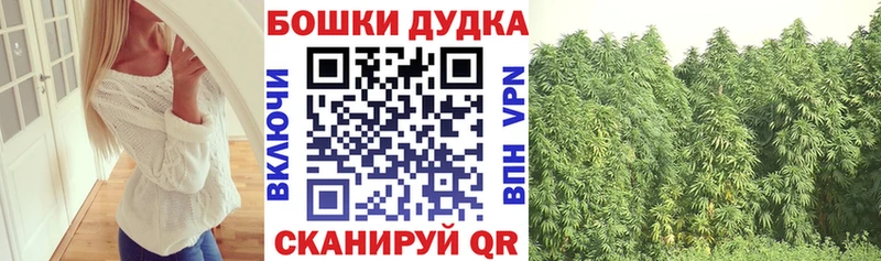 Каннабис сатива  где купить наркоту  Донской 